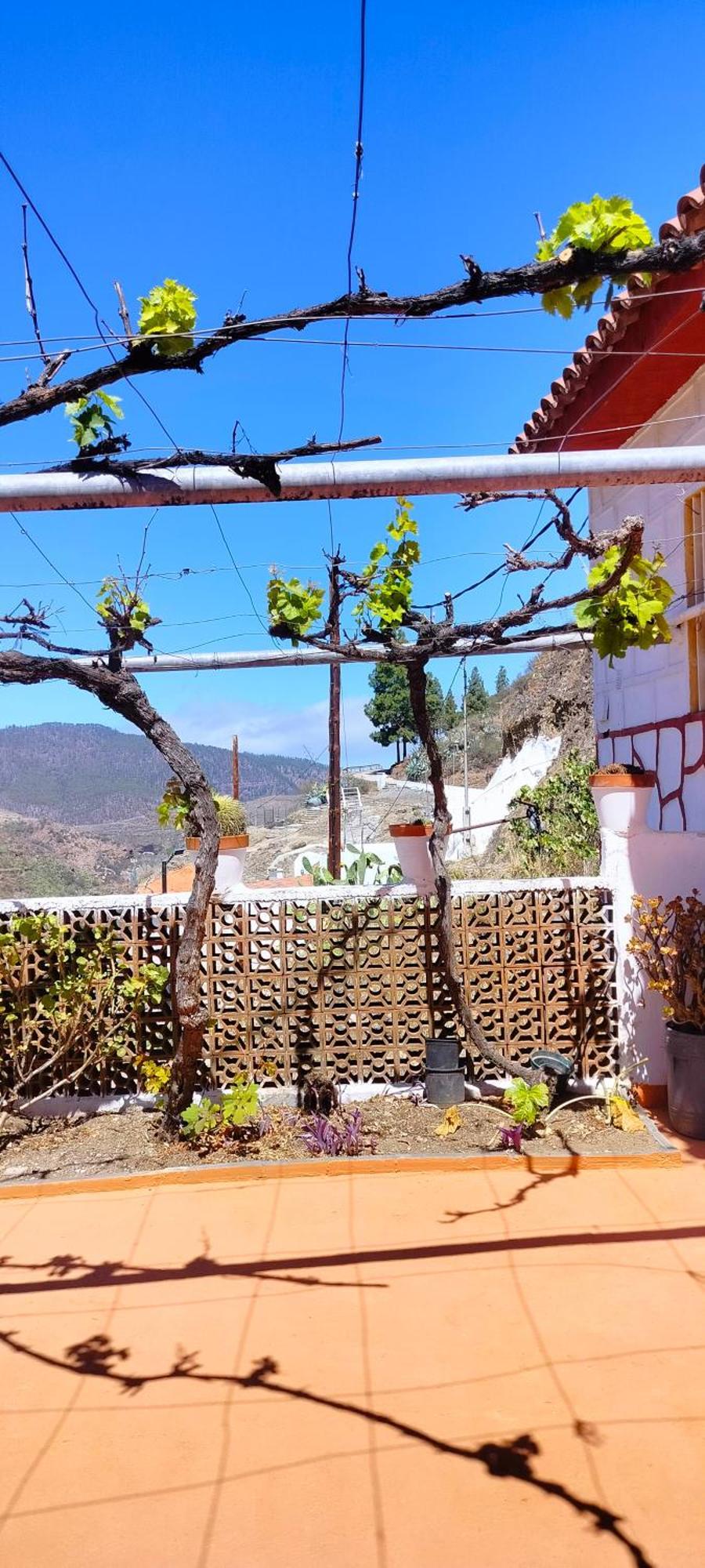 Casa Cueva Rural Trebola, Artenara Juncalillo 外观 照片